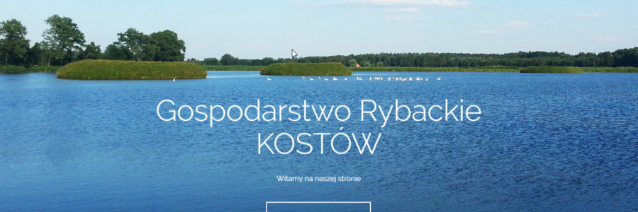 Strona internetowa – Gospodarstwo Rybackie KOSTÓW