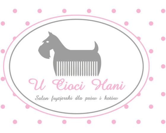 U Cioci Hani – Oprawa wizualna