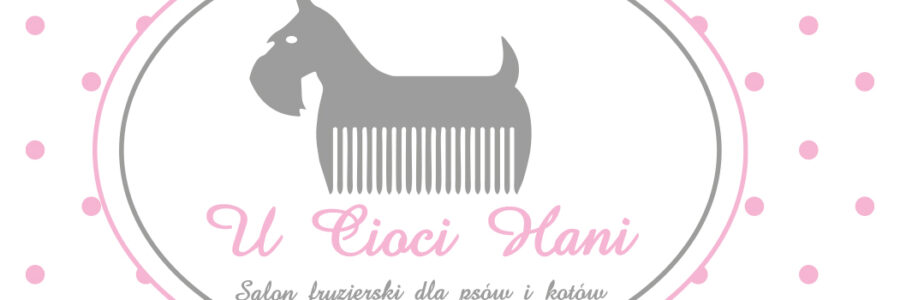 U Cioci Hani – Oprawa wizualna